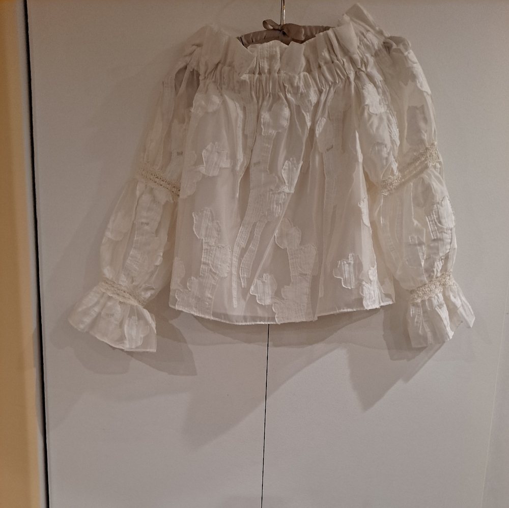 Alexis Raza Sheer Stitched Embroidered Cropped Off The Shoulders Top...NWOT